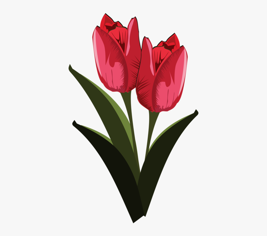Heart,plant,flower, HD Png Download