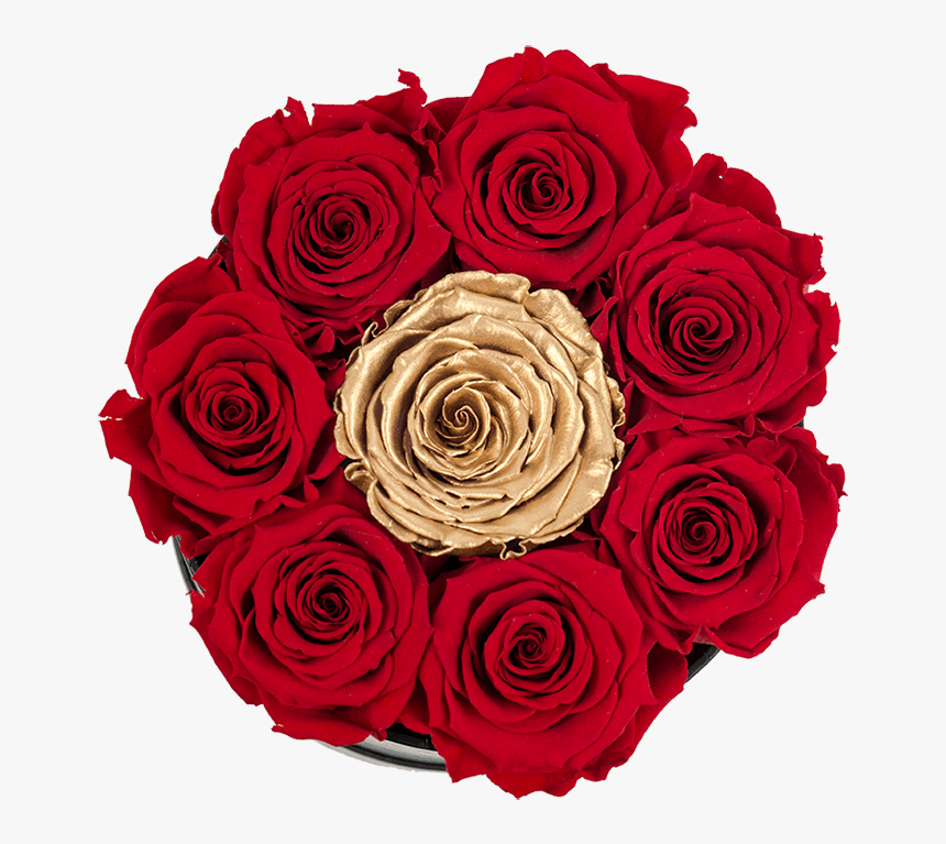 Clip Art Black Rose Bouquet - Garden Roses, HD Png Download