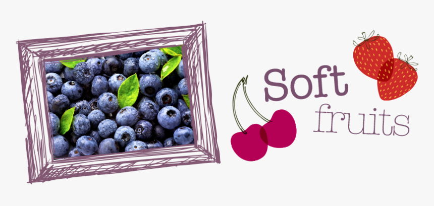 Soft-fruits - Bilberry, HD Png Download