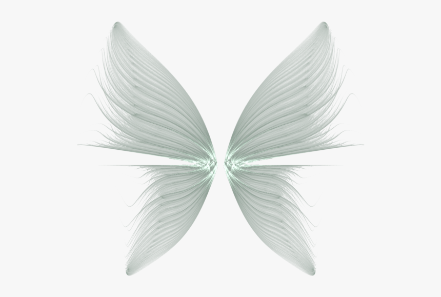 Download Wings Transparent Background - Fairy Wings Transparent Background, HD Png Download