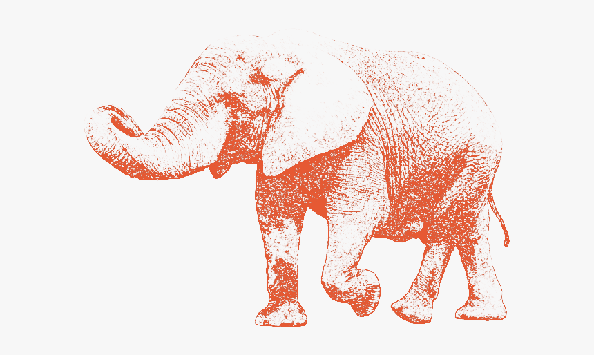 Elephant Walking With Its Trunk Up - Indian Elephant, HD Png Download