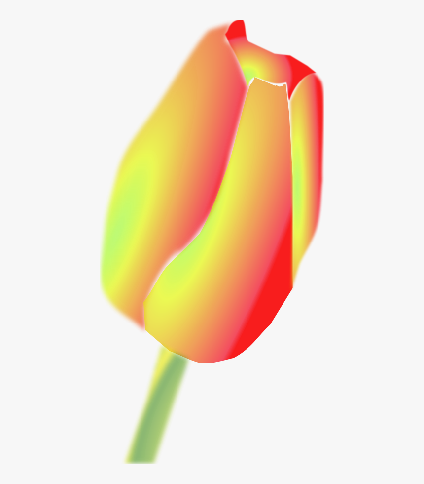 Tulip Flower Svg Clip Arts - Tulip Clip Art, HD Png Download