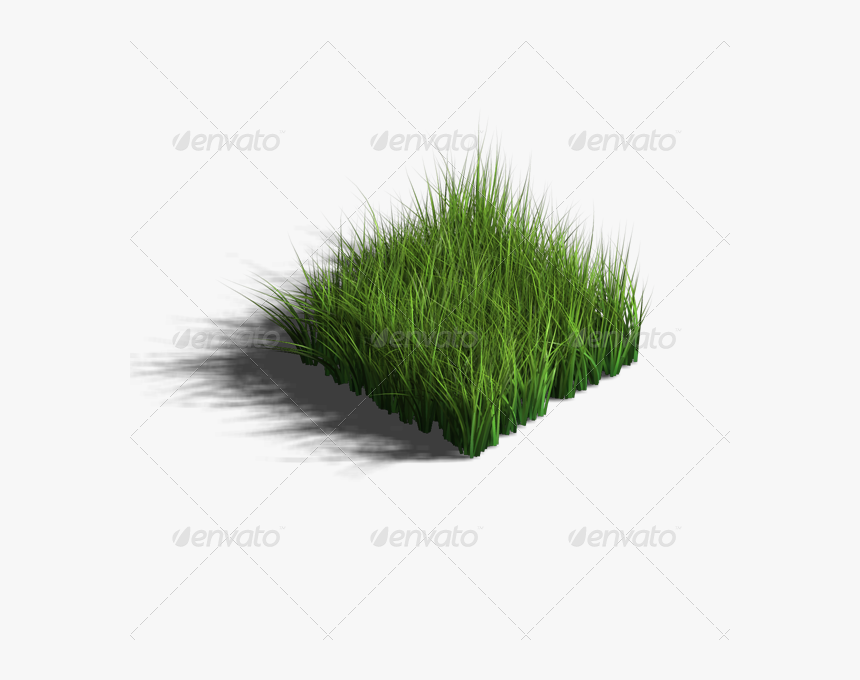 Grass 3d Model Transparent Png, Png Download