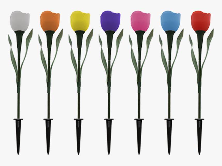 Pp02 Solar Tulip Flower Light - Solar Tulip Flower Light, HD Png Download
