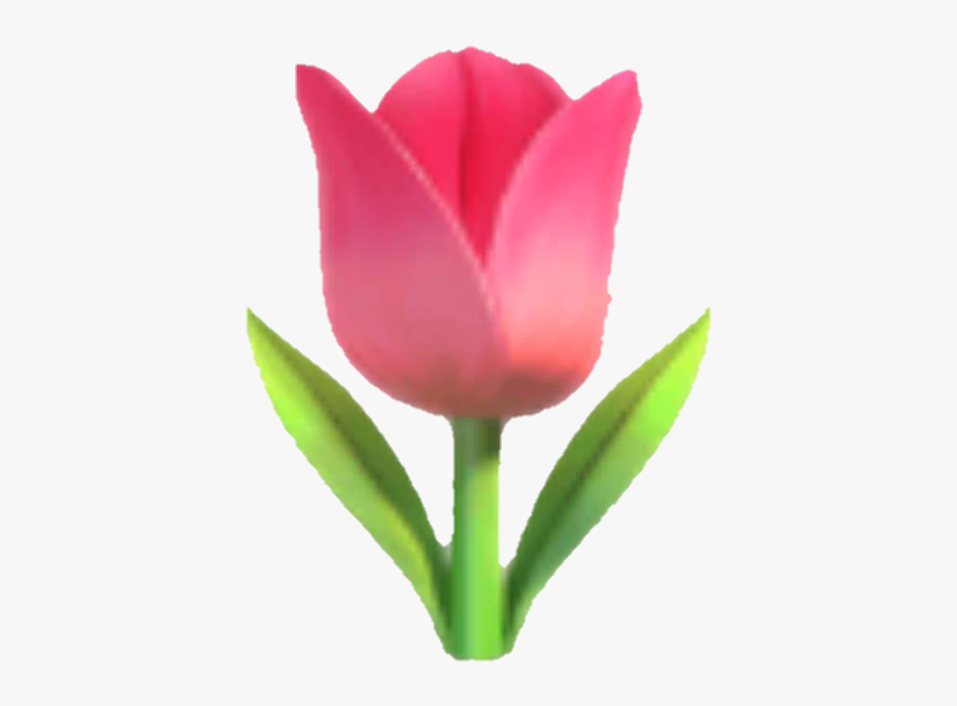 #emoji #tulip #flower #pink #pinkflower - Tulip Emoji, HD Png Download