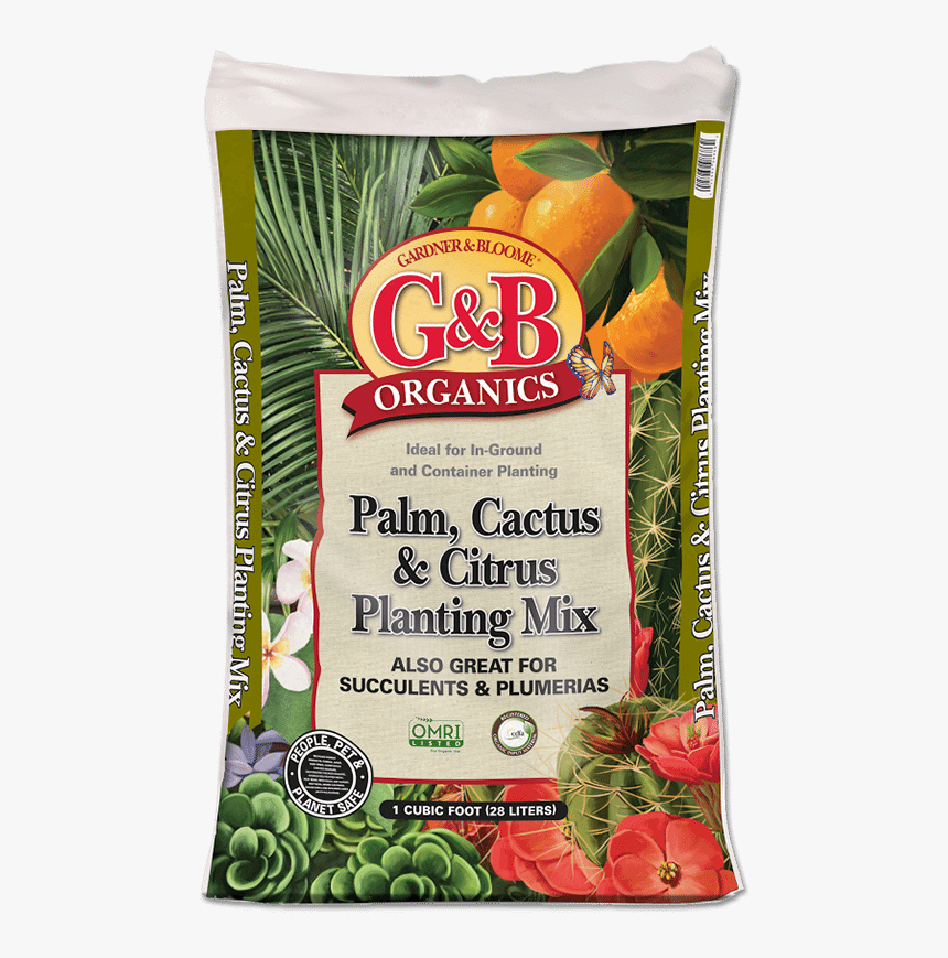 Palm And Cactus - Gardner And Bloome, HD Png Download