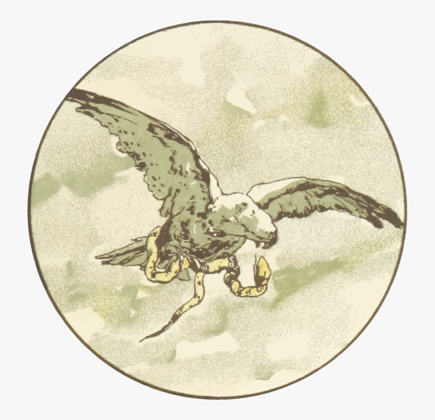 Fauna,organism,wing, HD Png Download