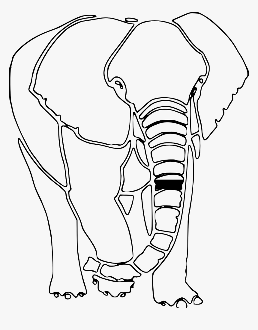 Elephant Animal Mammal Free Picture - ช้าง กราฟฟิก, HD Png Download