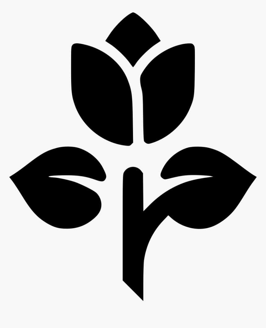 Tulip Rose Flower Plant - America's Child Montessori Logo, HD Png Download