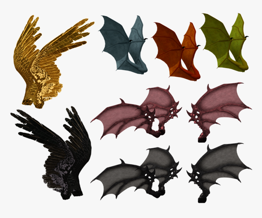 Wing, Wings, Feather, Demon, Dragon, Bat, Monster - Vampire Bat, HD Png Download