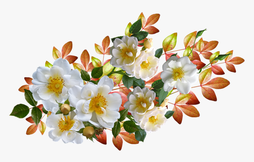 Roses, Flowers, Autumn, Leaves, Arrangement, Cut Out - Transparent Automne En Png, Png Download