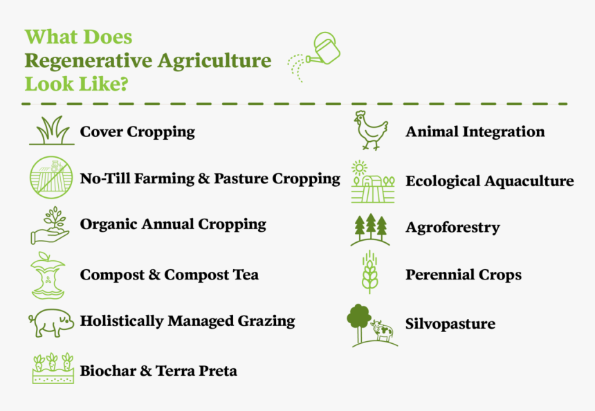 Number, HD Png Download