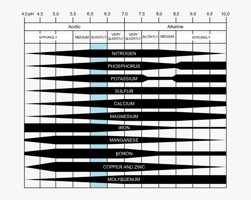 Availability Of Nutrients At Different Ph Levels - Effect Of Ph On Nutrient Availability In Soil, HD Png Download