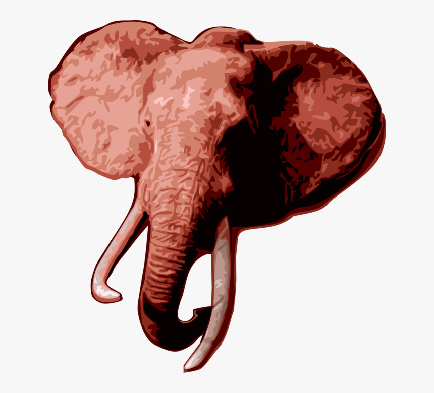 Vector Illustration Of African Elephant Head With Tusks - Indian Elephant, HD Png Download