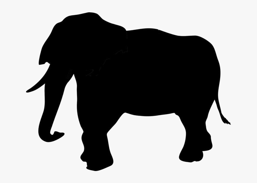 Elephant Trunk Png Transparent Images - Transparent Zoo Animal Silhouette, Png Download