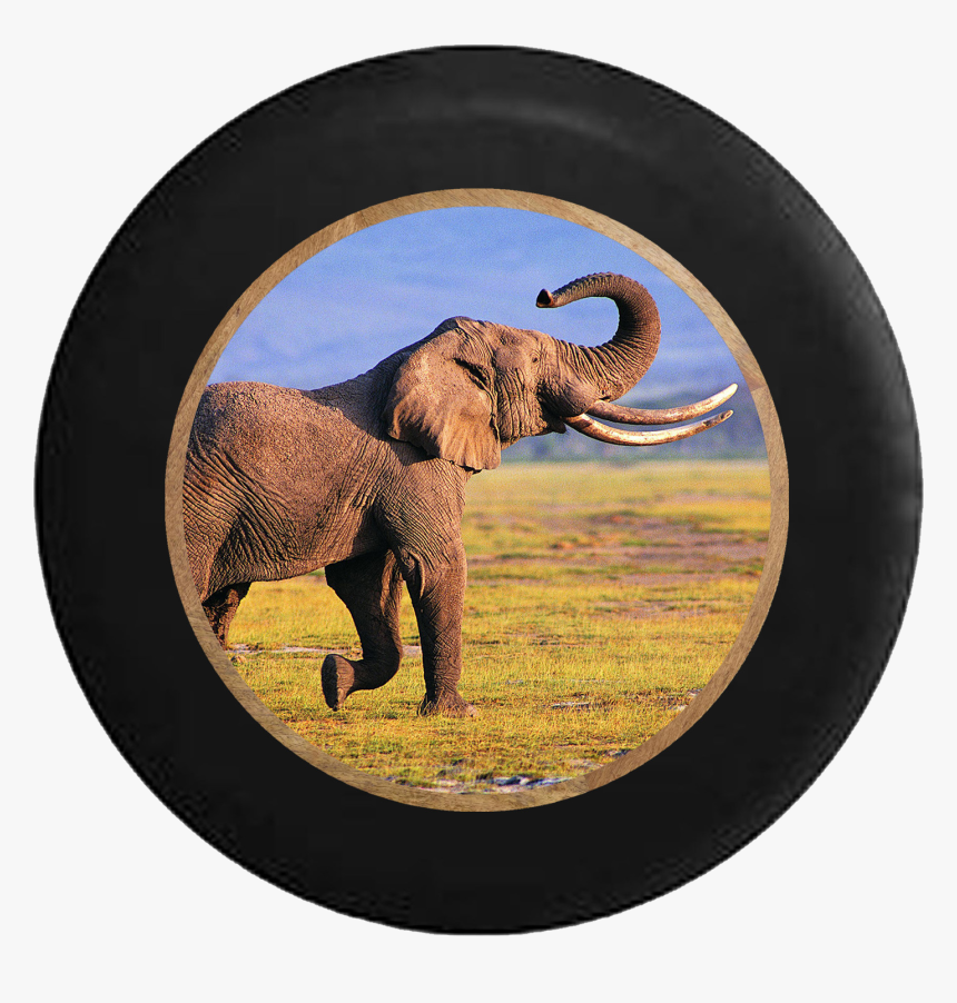 Majestic African Elephant Safari Endangered Trunk Jeep - Elephants In Their Habitat, HD Png Download