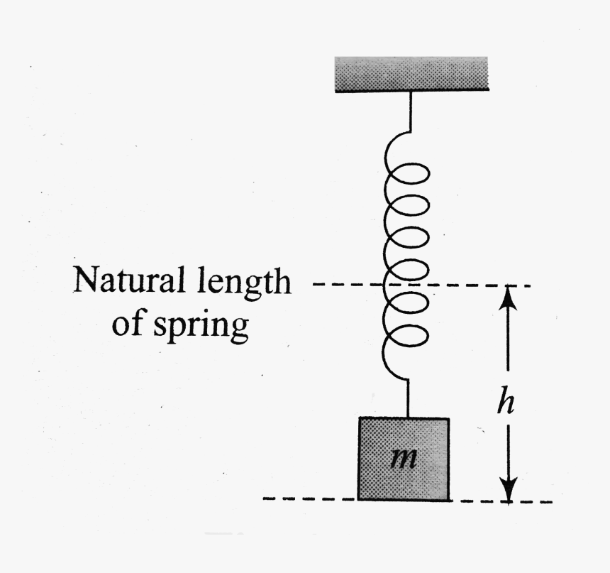 Diagram, HD Png Download