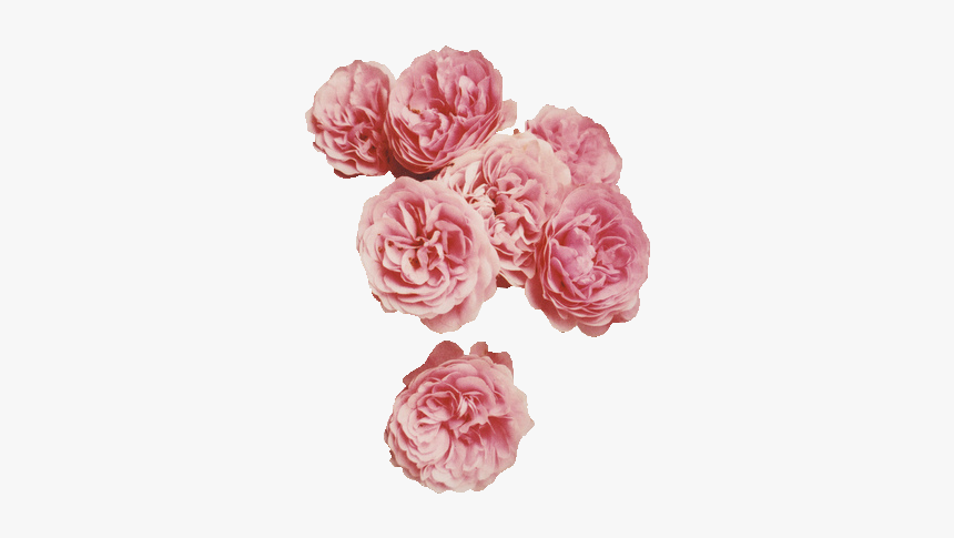 Hipster Floral, HD Png Download