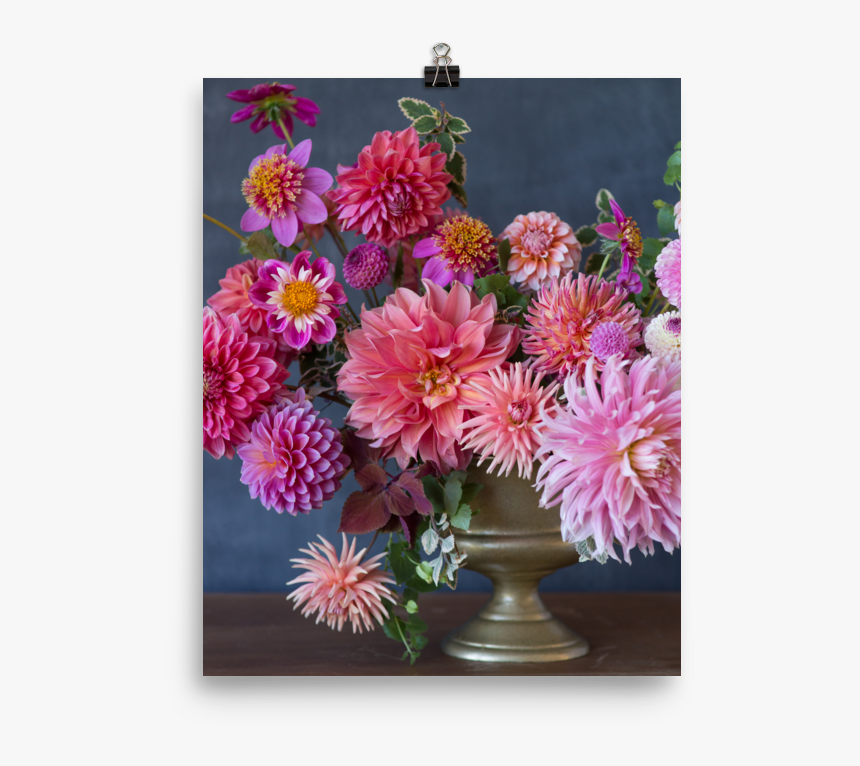 Dsc08659 Mockup Transparent Transparent - Barberton Daisy, HD Png Download