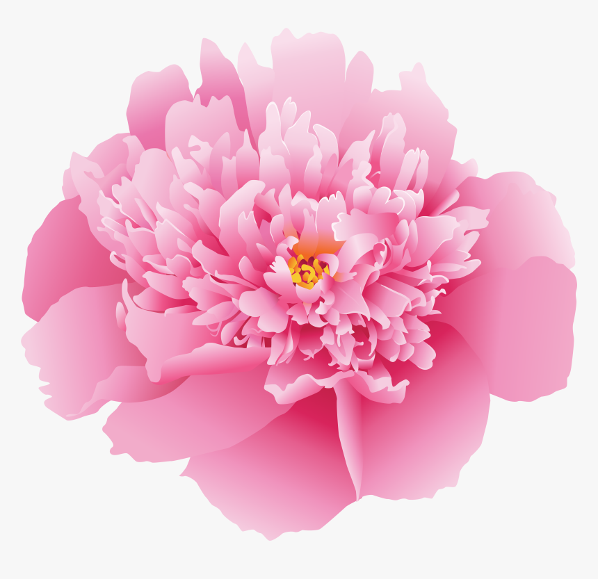 Pink Peony Flower Png, Transparent Png