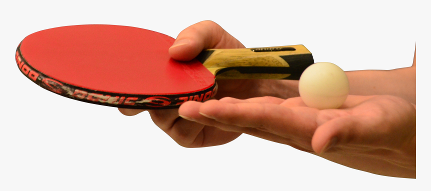 Hands Holding Table Tennis Of Racket And Ball, HD Png Download