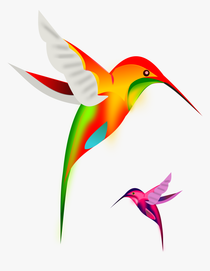 Hummingbird Clipart Free, HD Png Download