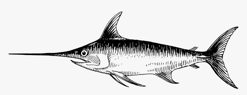 Shark Sketch Pictures - Swordfish Clipart Black And White, HD Png Download