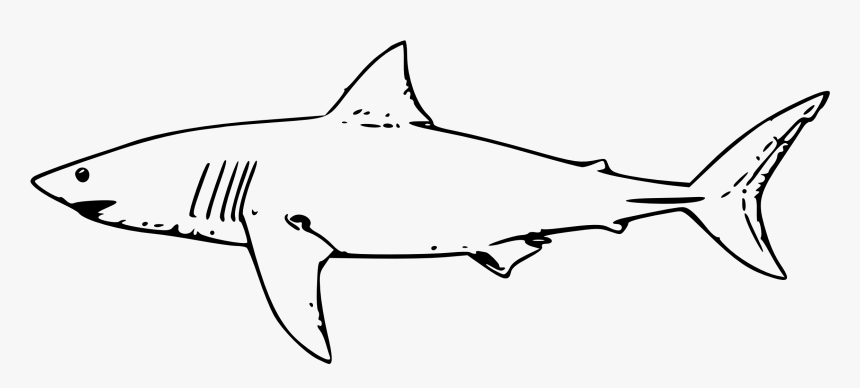 Clip Art Shark Outline Png - Great White Shark Clipart, Transparent Png