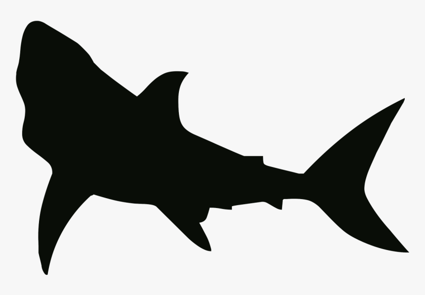 Shark Stencil, HD Png Download