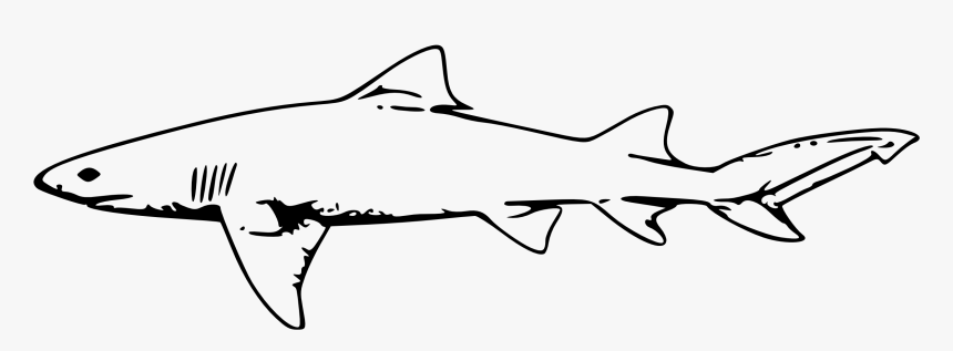 Shark Clipart Black And White - Shark Black And White Clipart, HD Png Download