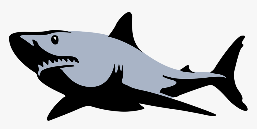 0006259 Vector Clipart - Sharks Clip Art, HD Png Download