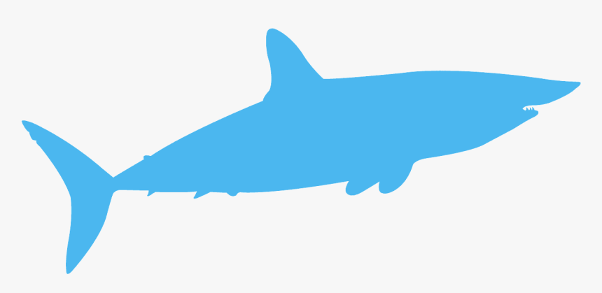 Blue Shark Silhouette, HD Png Download