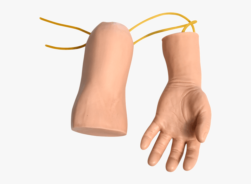 Hand And Elbow Combined Intravenous Transfusion Training, HD Png Download
