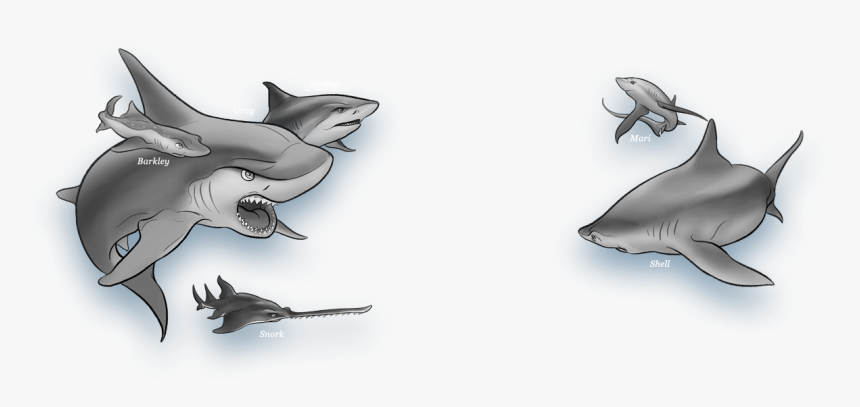 Gray From Shark Wars - Gray Shark Wars Book, HD Png Download