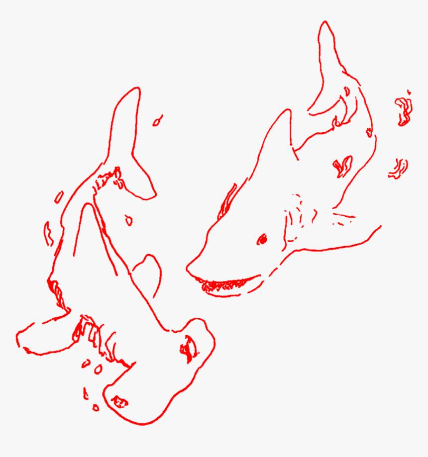 #aesthetic #art #sketch #doodle #shark #sharks #lineart, HD Png Download