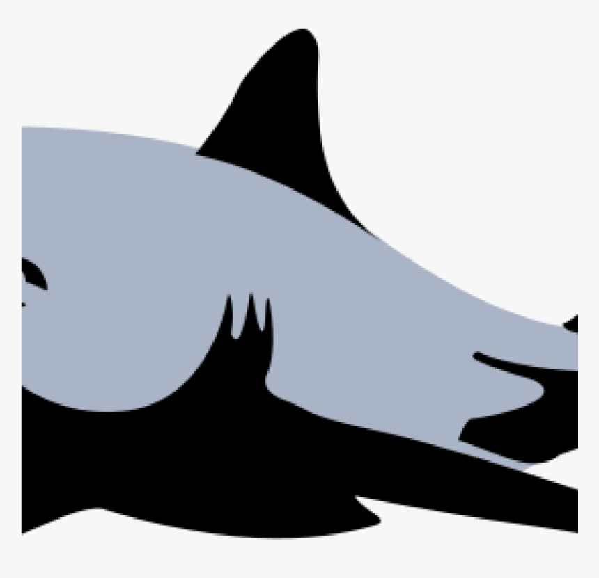 Free Clipart Shark Shark Clip Art Black And White Clipart - Blue Paul Shark Logo, HD Png Download