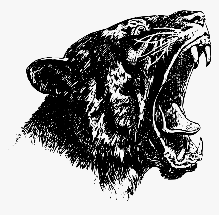 Roaring Tiger Svg Clip Arts - Northview Roar, HD Png Download
