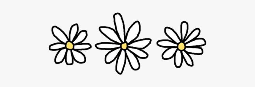 Daisy Png, Transparent Png