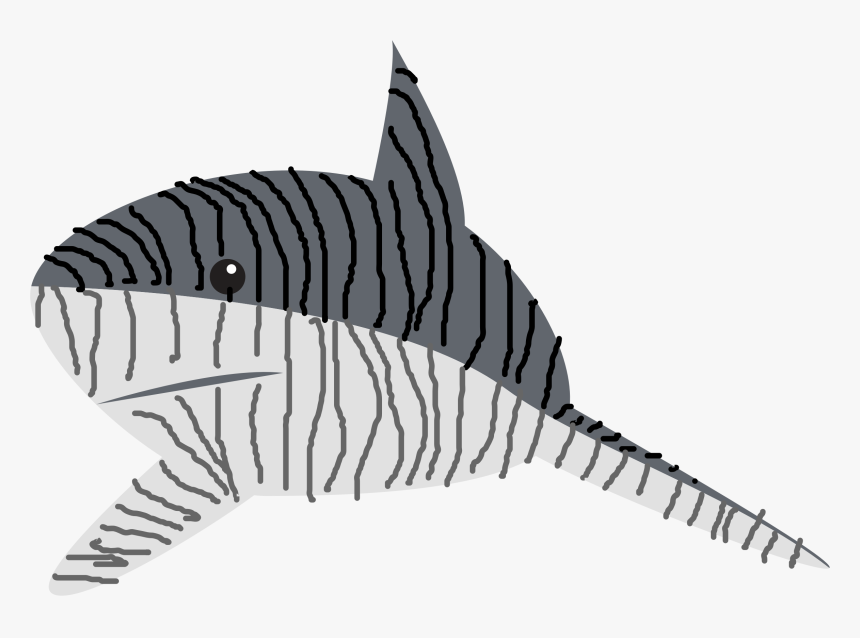 Transparent Sharks Clipart - Tiger Shark Clipart, HD Png Download