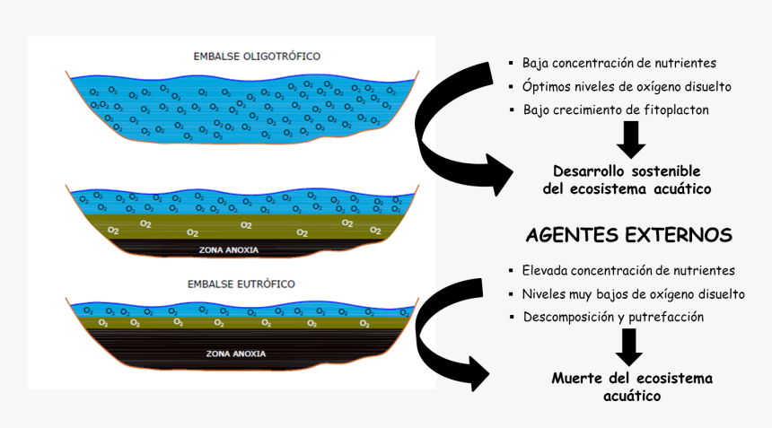 Obstruccion De Oxigeno En El Agua, HD Png Download