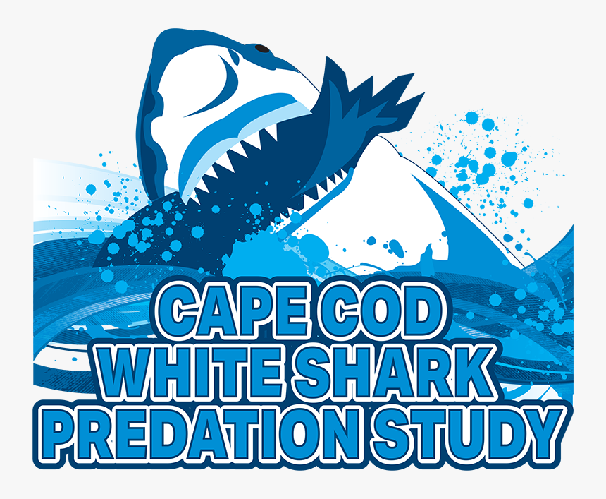 Cape Cod White Shark Predation Study Logo - Limp Bizkit, HD Png Download