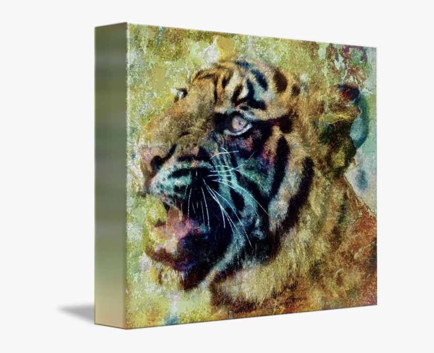 Clip Art Library Library By Lisa - Siberian Tiger, HD Png Download