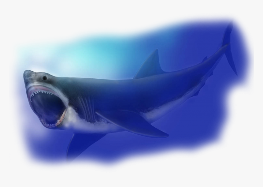 Transparent Megalodon Png - Megalodon Shark Compared To Great, Png Download