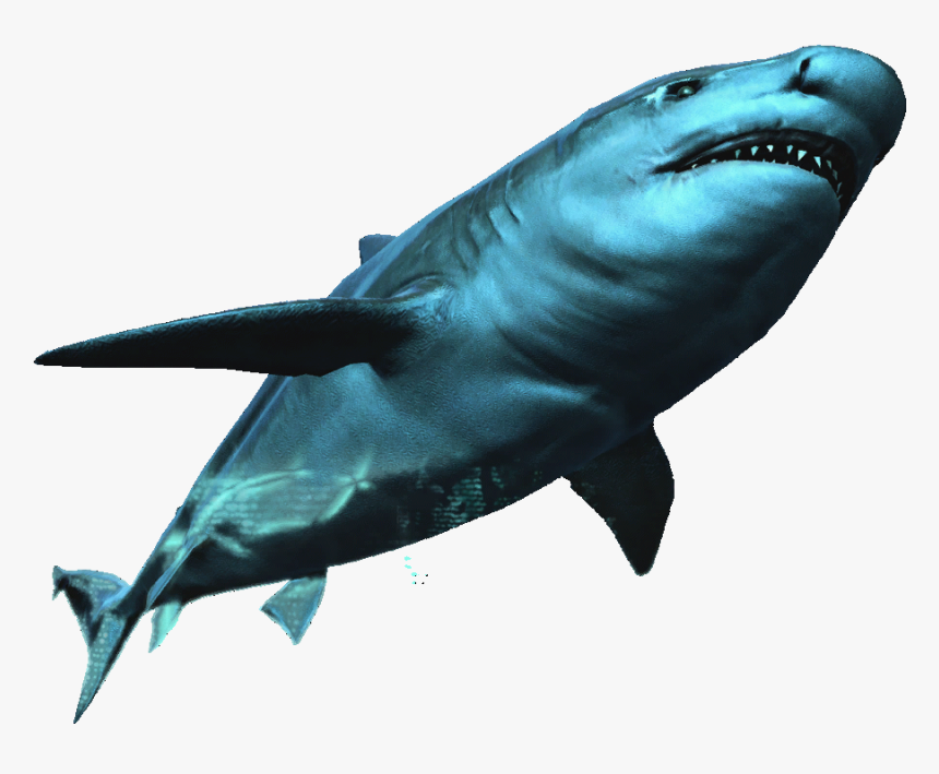 Assassin's Creed Bull Shark, HD Png Download