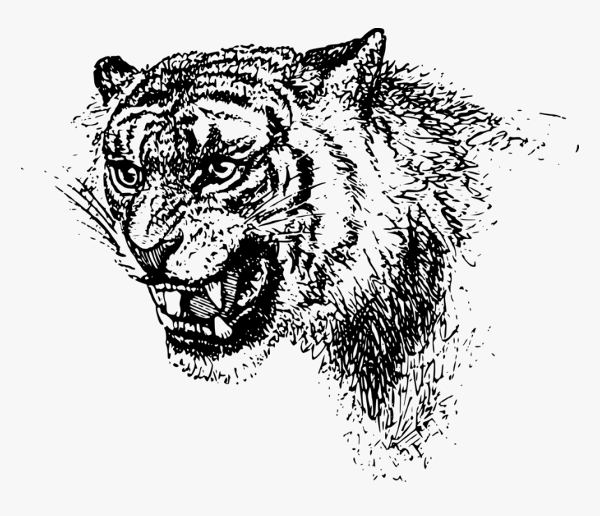 Art,monochrome Photography,carnivoran - Black And White Tiger Logo, HD Png Download