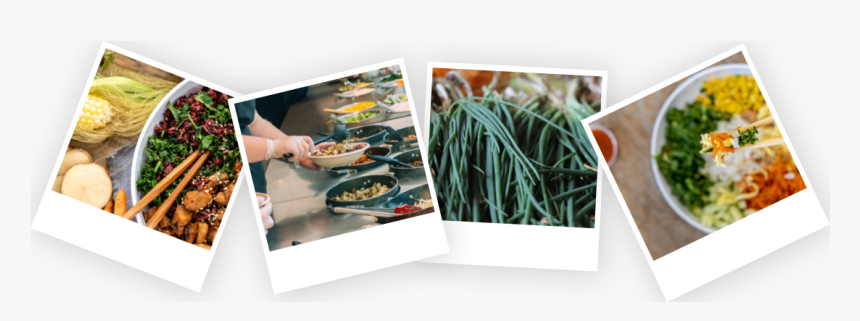 Floral Design, HD Png Download