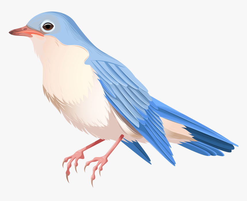 Obey Hat Transparent Png, Png Download