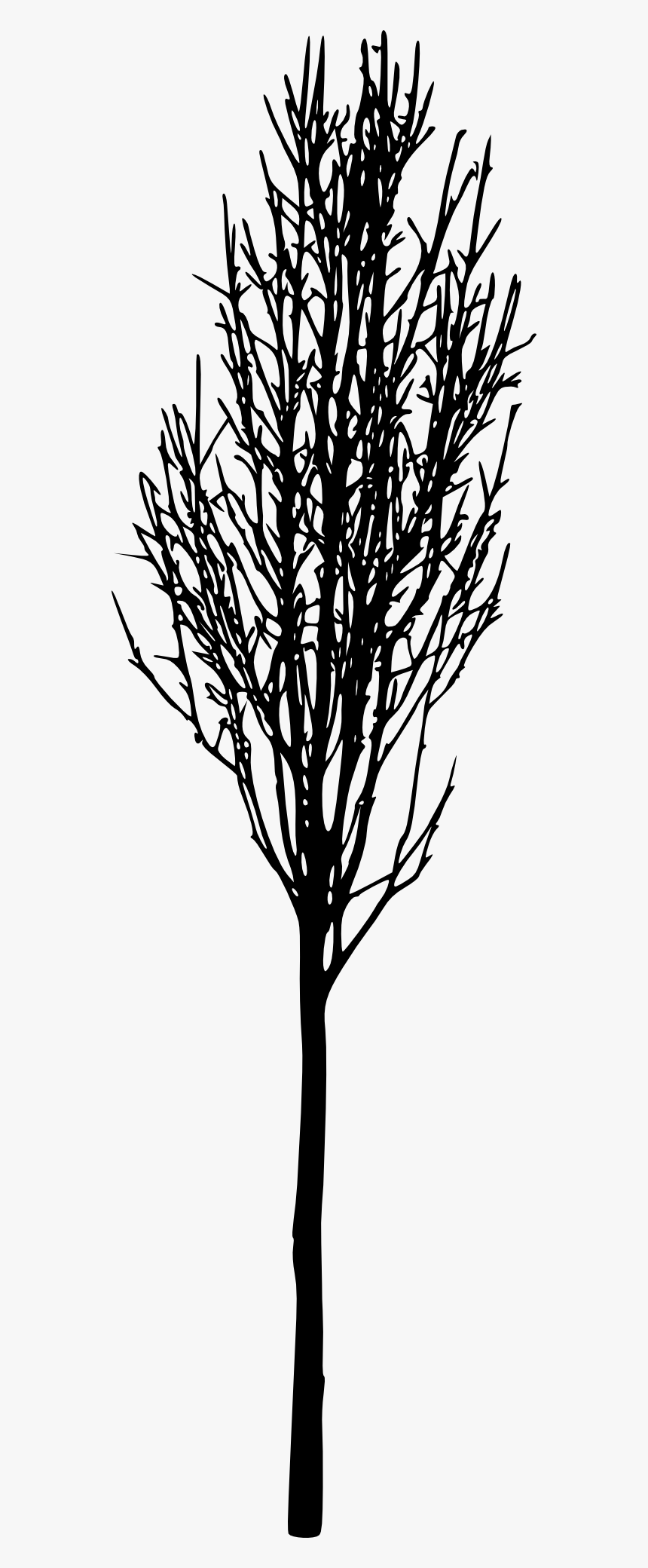 Silhouette, HD Png Download