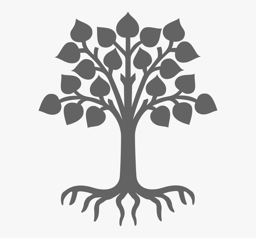 Plant, Silhouette, Grey, Tree, Leaves, Wood, Roots - Child Care, HD Png Download
