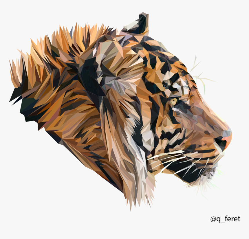 Polygons Drawing Tiger - Sumatran Tiger Wallpaper Hd, HD Png Download